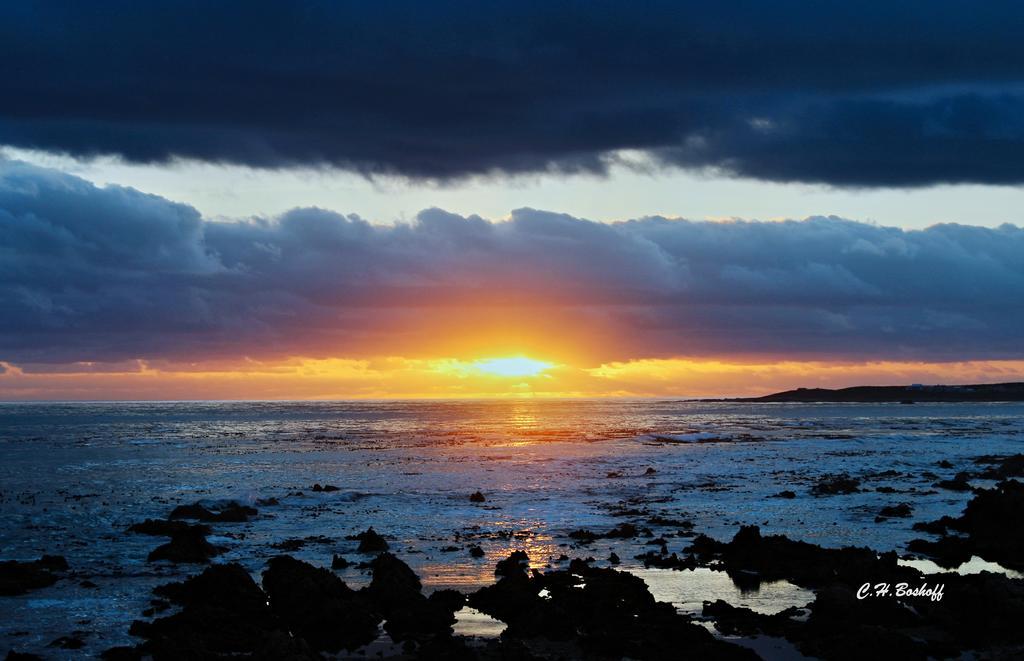 Walkerbay Accommodation Gansbaai Bagian luar foto