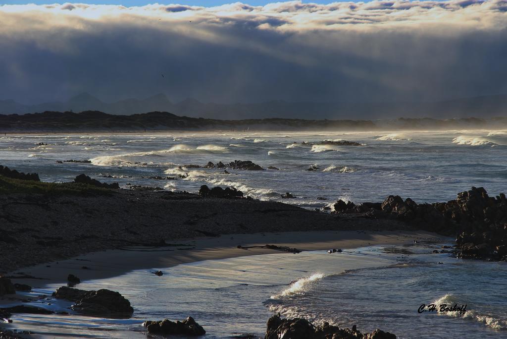 Walkerbay Accommodation Gansbaai Bagian luar foto