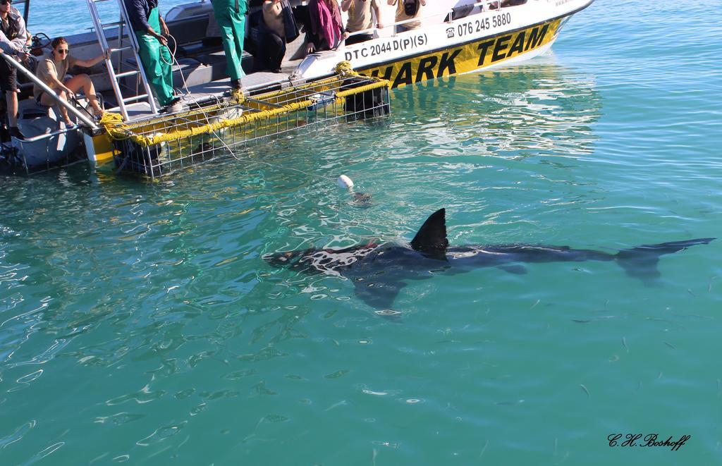 Walkerbay Accommodation Gansbaai Bagian luar foto